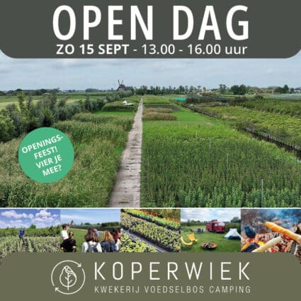 Def Opendag Poster Vierkant Web2