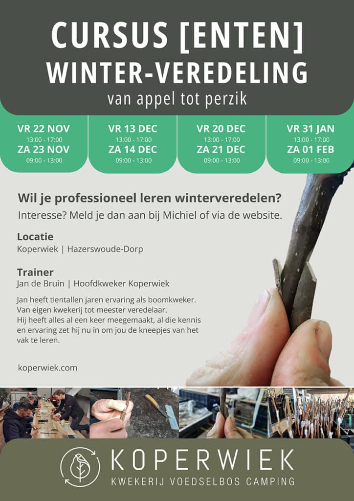 Poster Cursus Winterenten