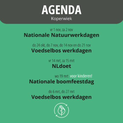 Agenda Meewerkdagen