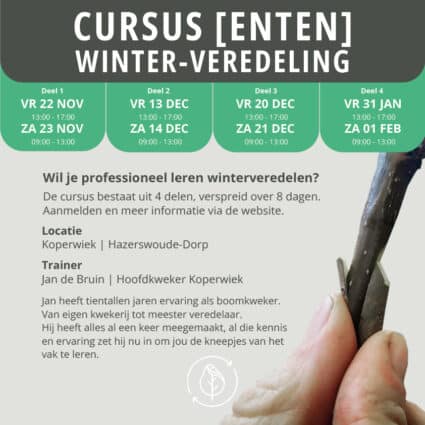 Cusrus Winterveredeling Vierkant