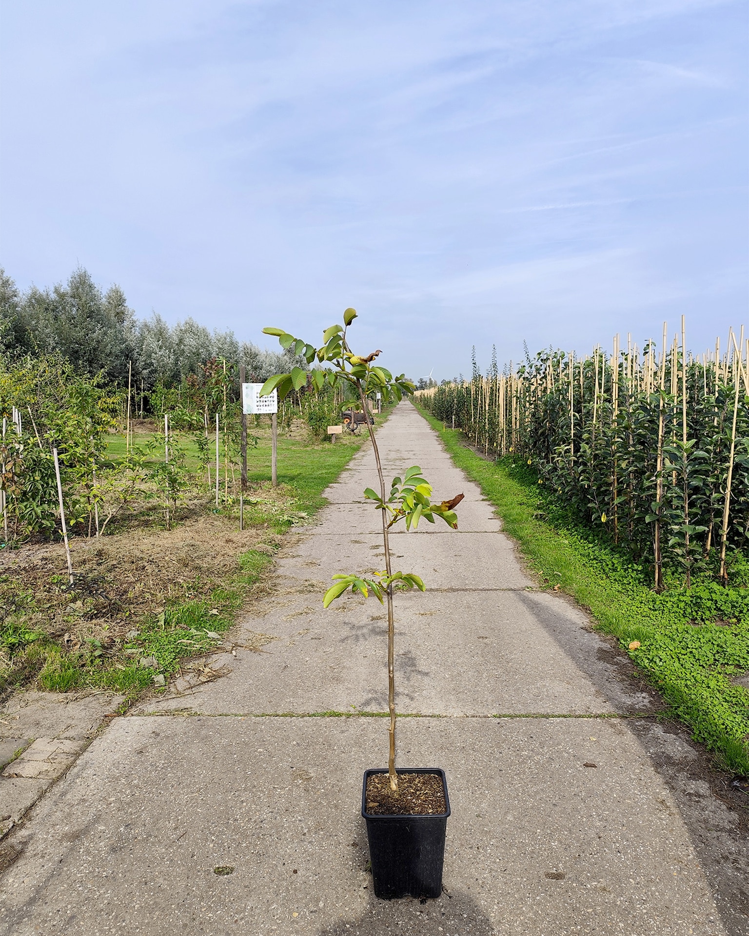 Jugreg Frenette Jugreg Frenette