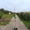 Pyrcom Kirch Beurreehardy
