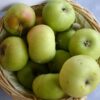 Reine Des Reinettes appelboom kopen bij kwekerij de Koperwiek