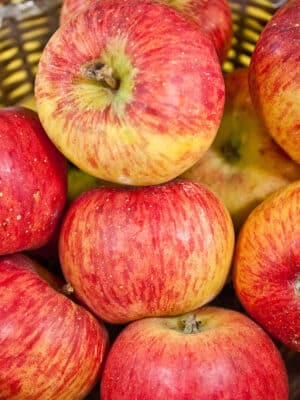 Appels Topaz kopen bij Kwekerij de Koperwiek