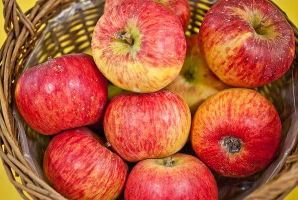 Appels Topaz kopen bij Kwekerij de Koperwiek