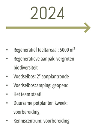 Koperwiek 2024