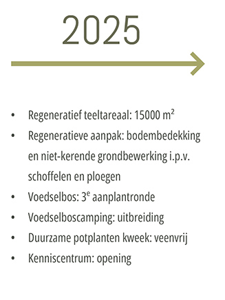 Koperwiek 2025