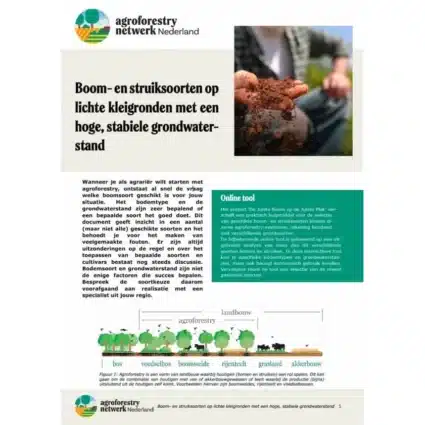 Factsheet Juiste Boom Juiste Plaats Vierkant