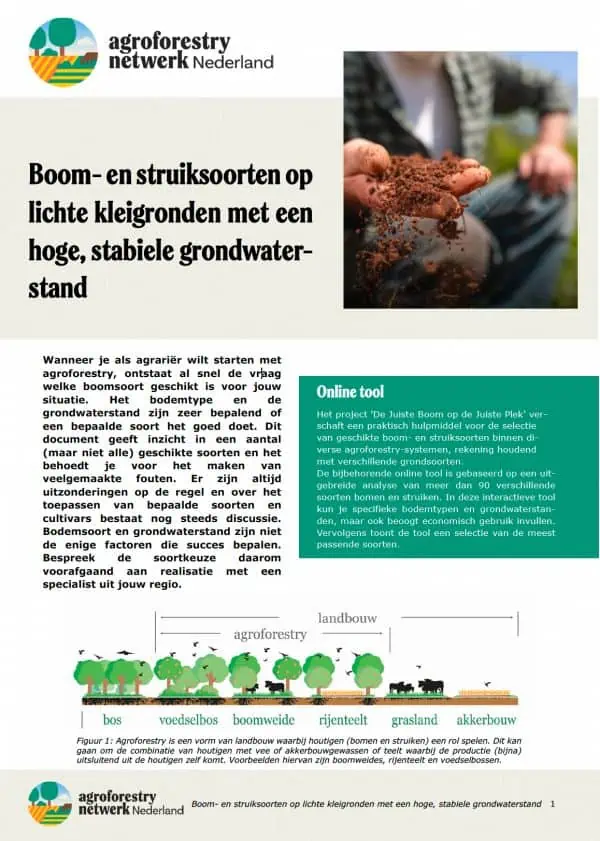 Factsheet Juiste Boom Juiste Plaats