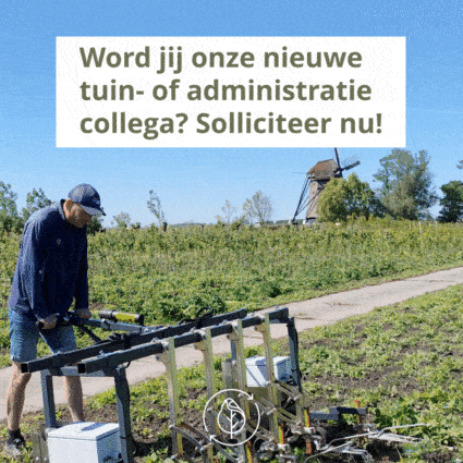 Koperwiek Vacature Vierkant