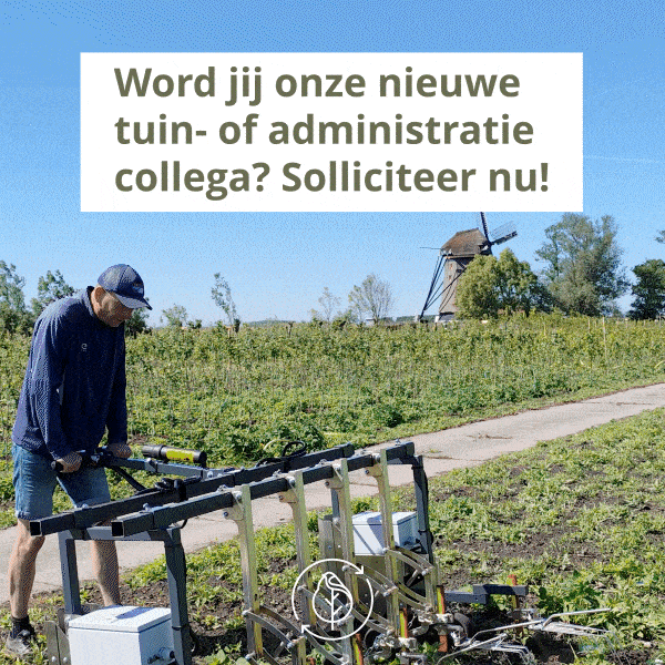 Koperwiek Vacature Vierkant