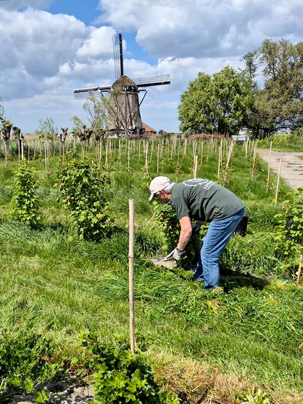 Mei25 Voedselbos 08