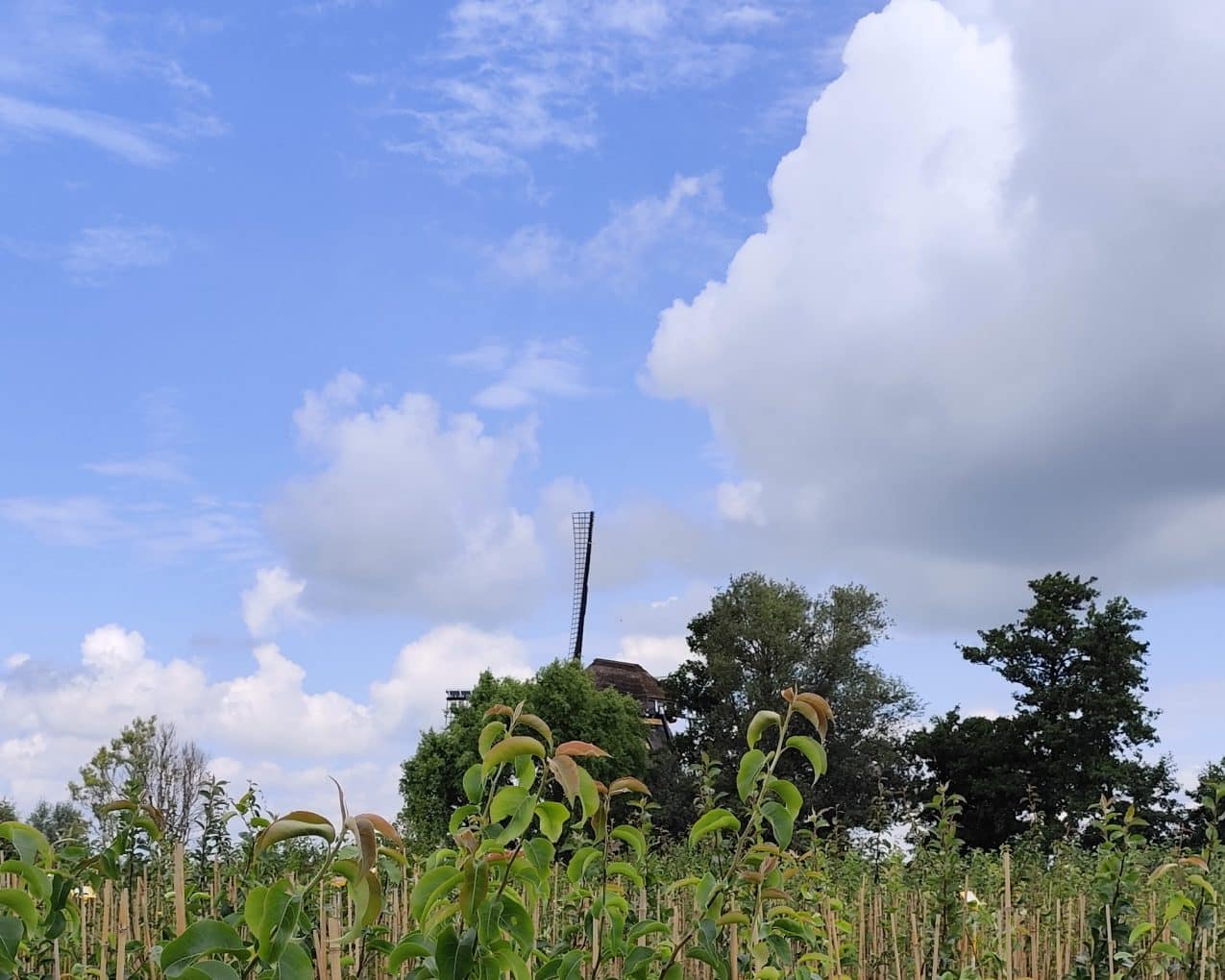 Af Projectenalgemeen