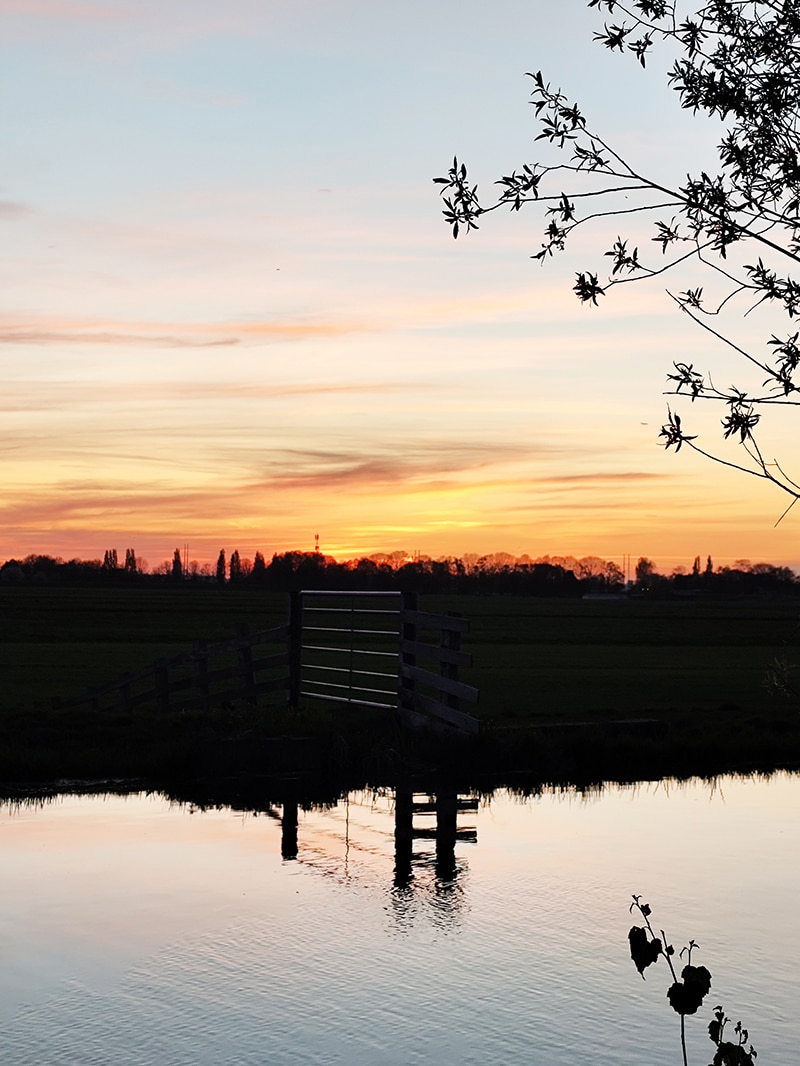 Uitzicht Polder 01