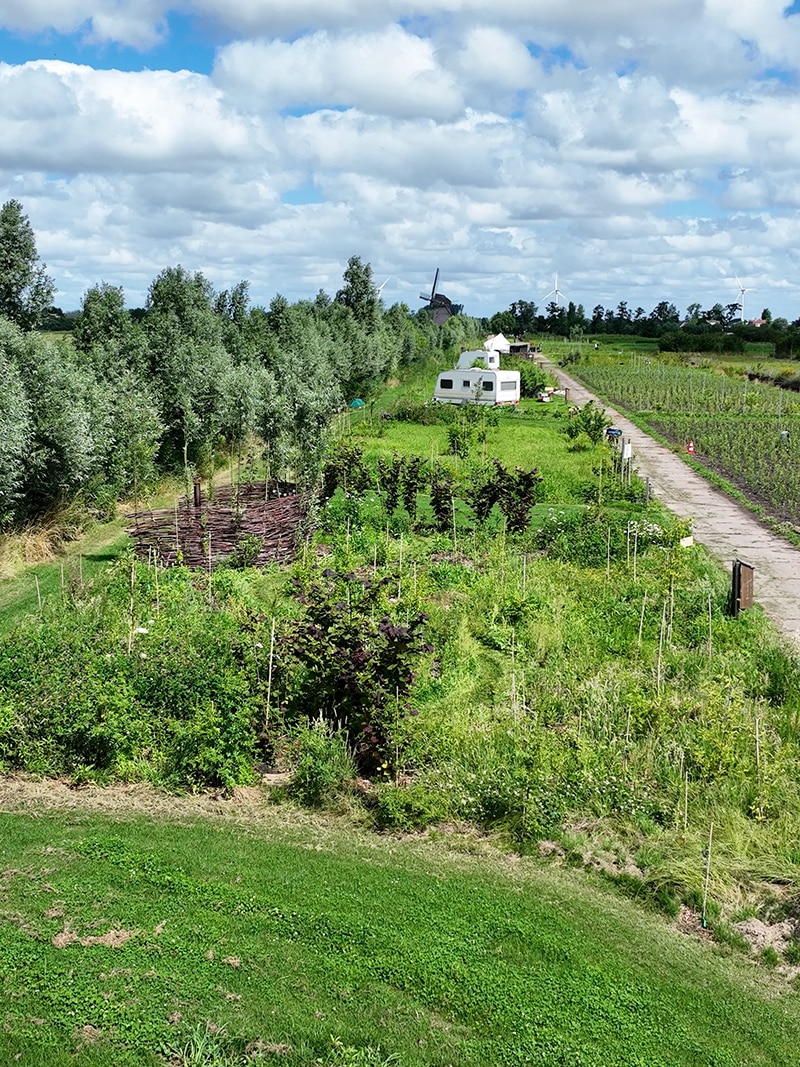 Voedselb)s Juli25 Dji 0336 (0 00 06 13) Copy