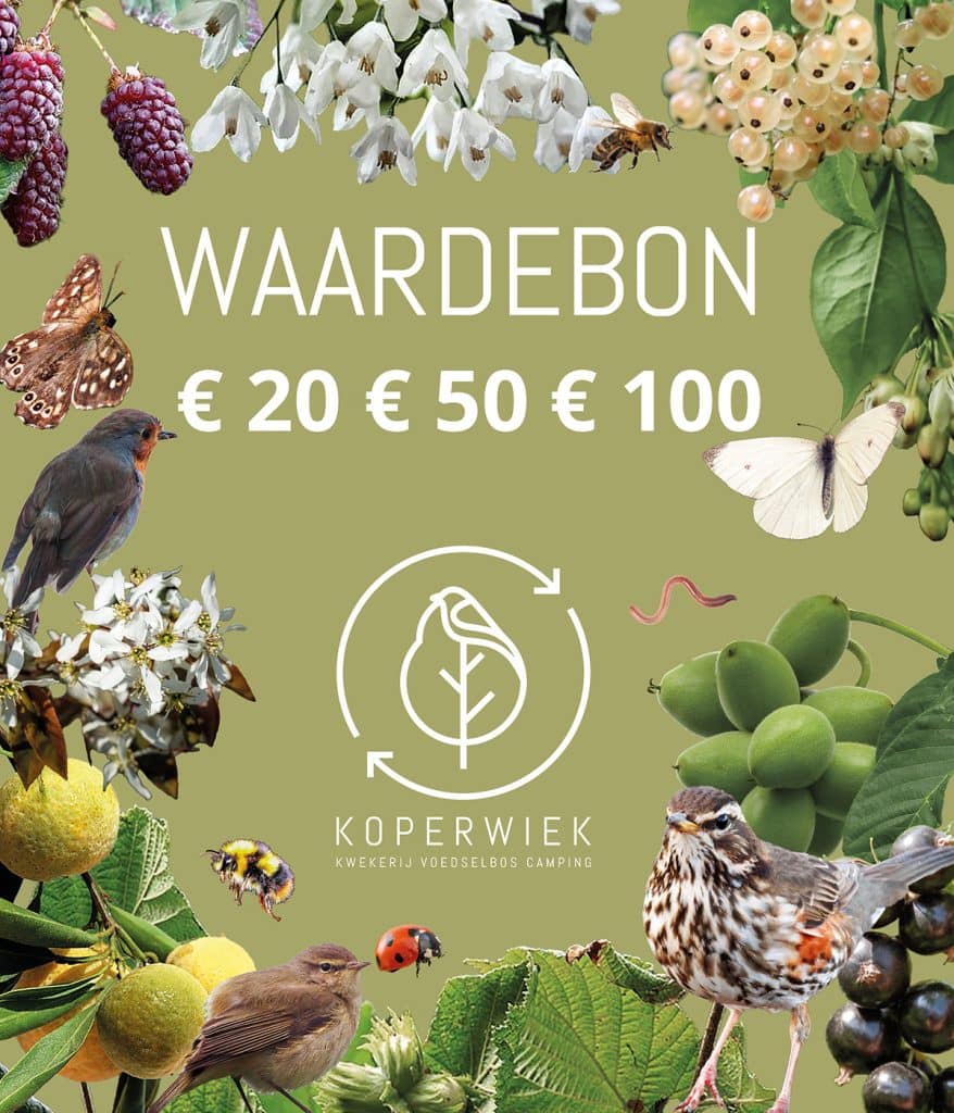 Waardebon