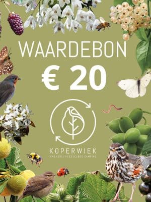 Waardebon20