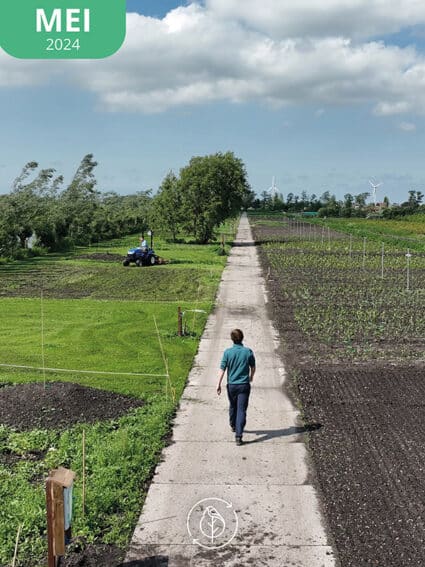 01 Koperwiek Mei24 A Sm 425x567