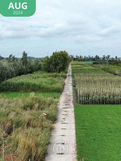 02 Koperwiek Aug24 A Sm 425x567