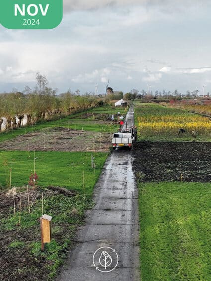 03 Koperwiek Nov4 A Sm 425x567