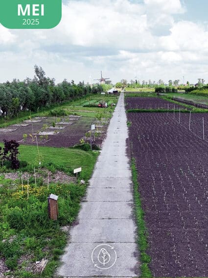 05 Koperwiek Mei5 Sm 425x567