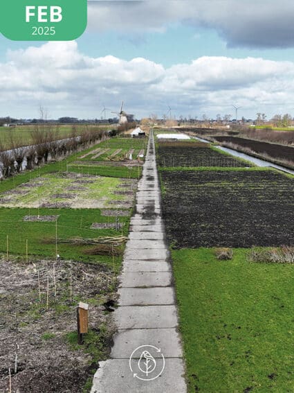 06 Koperwiek Feb25 Sm 425x567