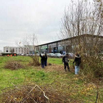 Rijnvicus 01
