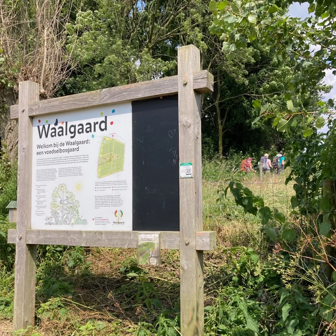 Waalgaard 03)
