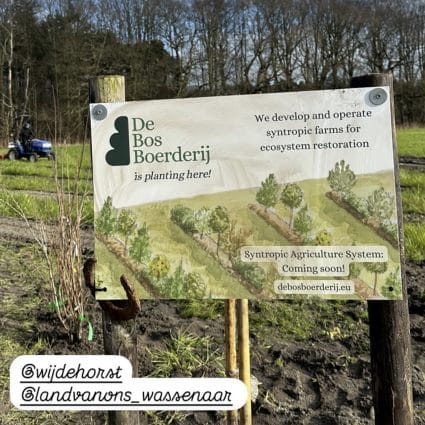 Wijdehorst 00