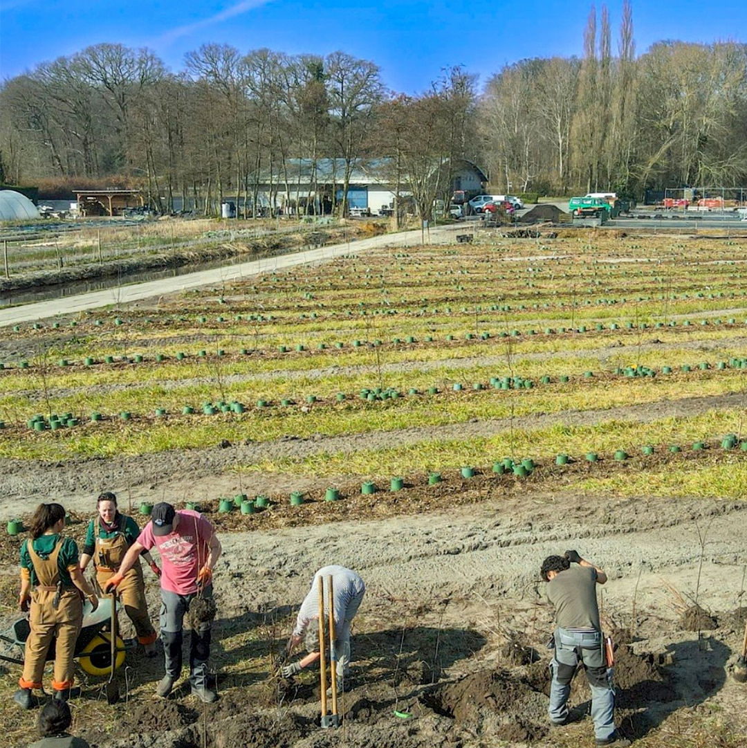 Wijdehorst 07