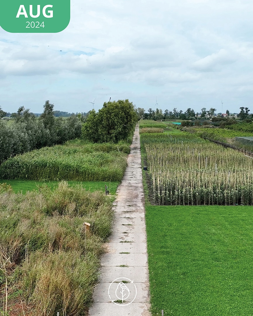 002 Koperwiek Aug 24