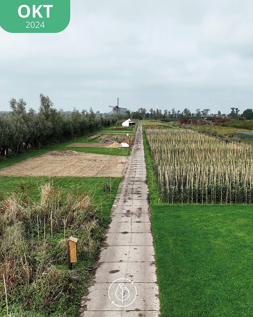 003 Koperwiek Okt 24