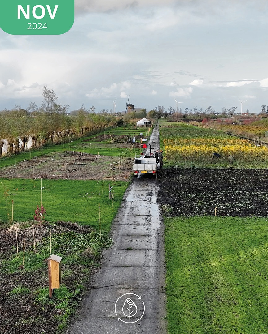 004 Koperwiek Nov 24