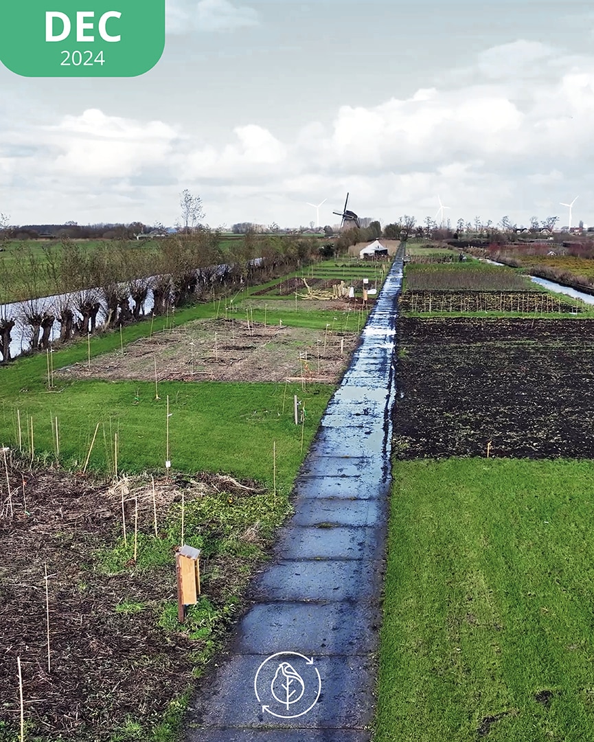 005 Koperwiek Dec 24b