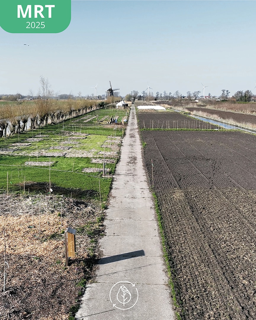 007 Koperwiek Mrt 25