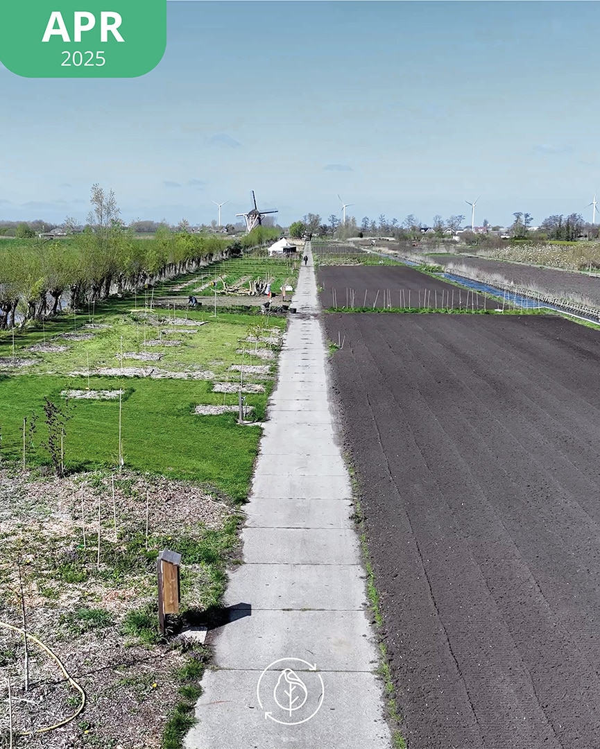 008 Koperwiek Apr 25