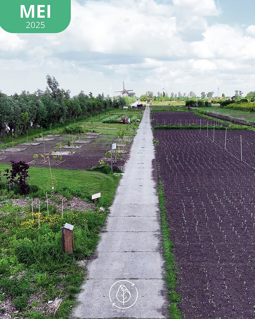 009 Koperwiek Mei 25