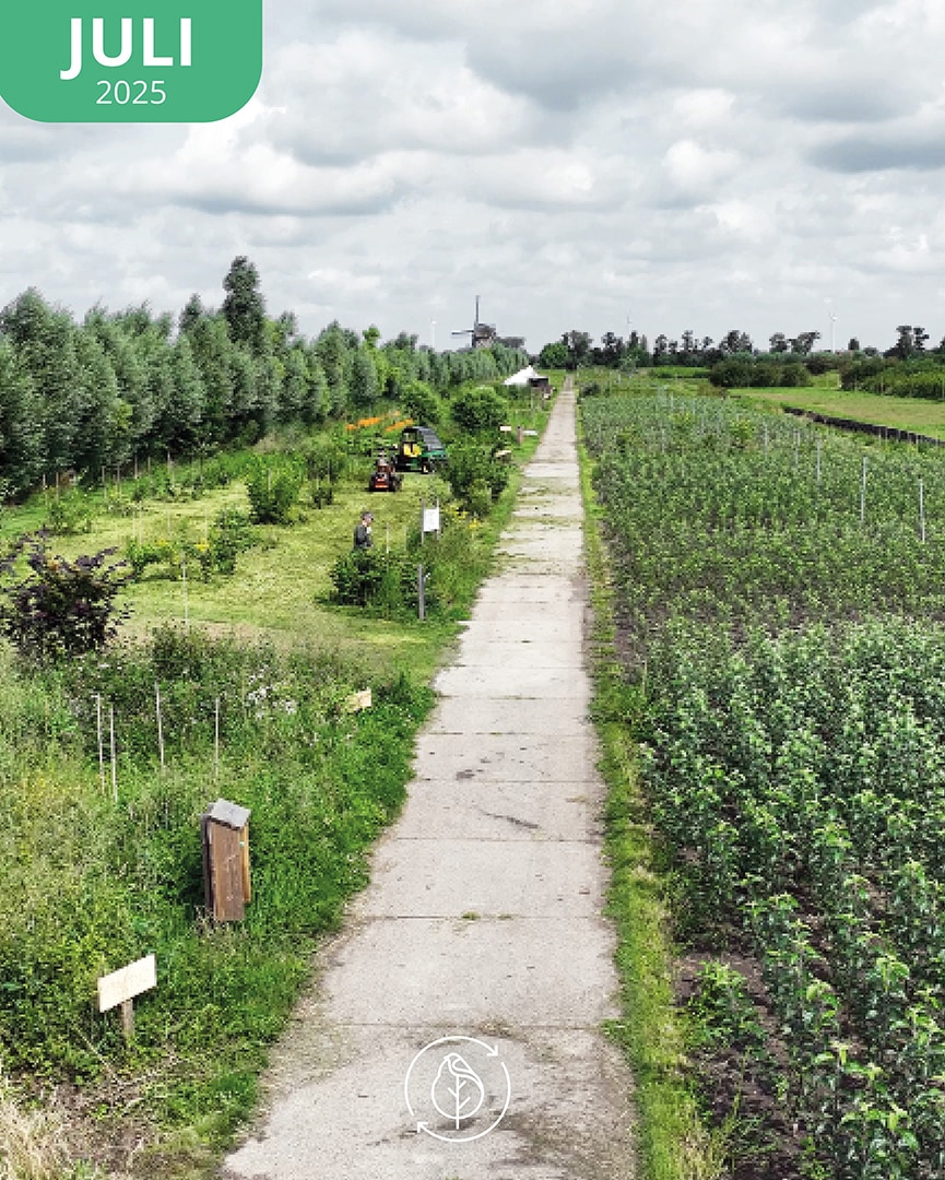 011 Koperwiek Jul 25