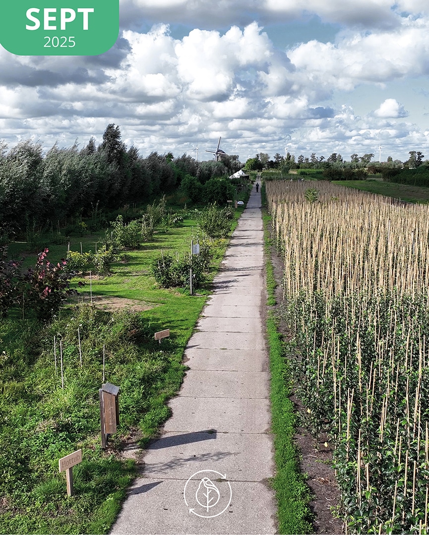 012 Koperwiek Sept 25