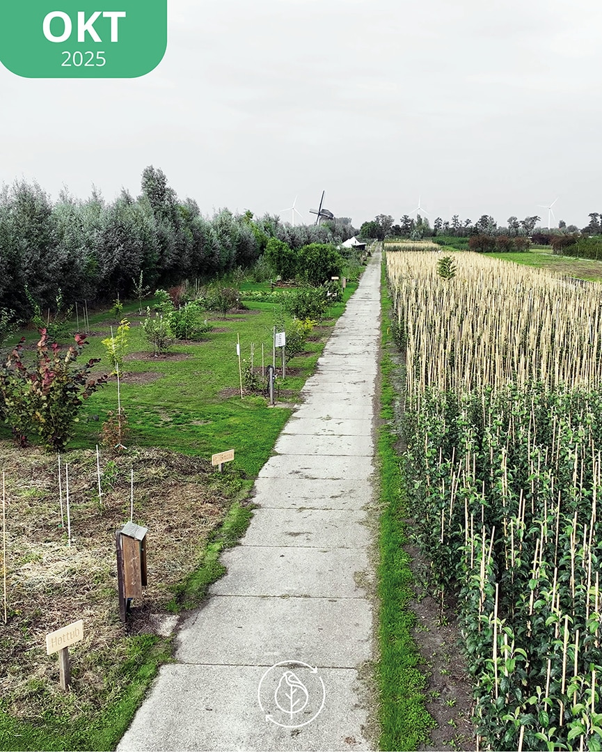 013 Koperwiek Okt 25