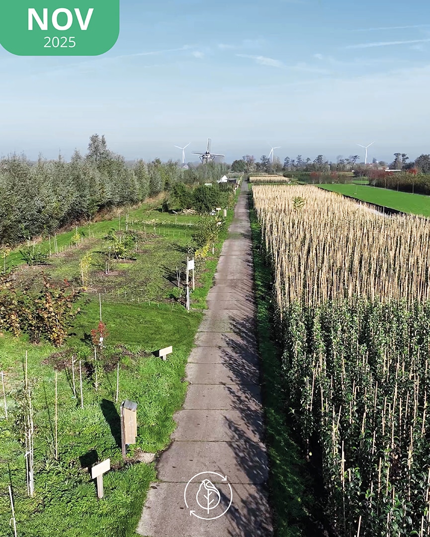 014 Koperwiek Nov 25