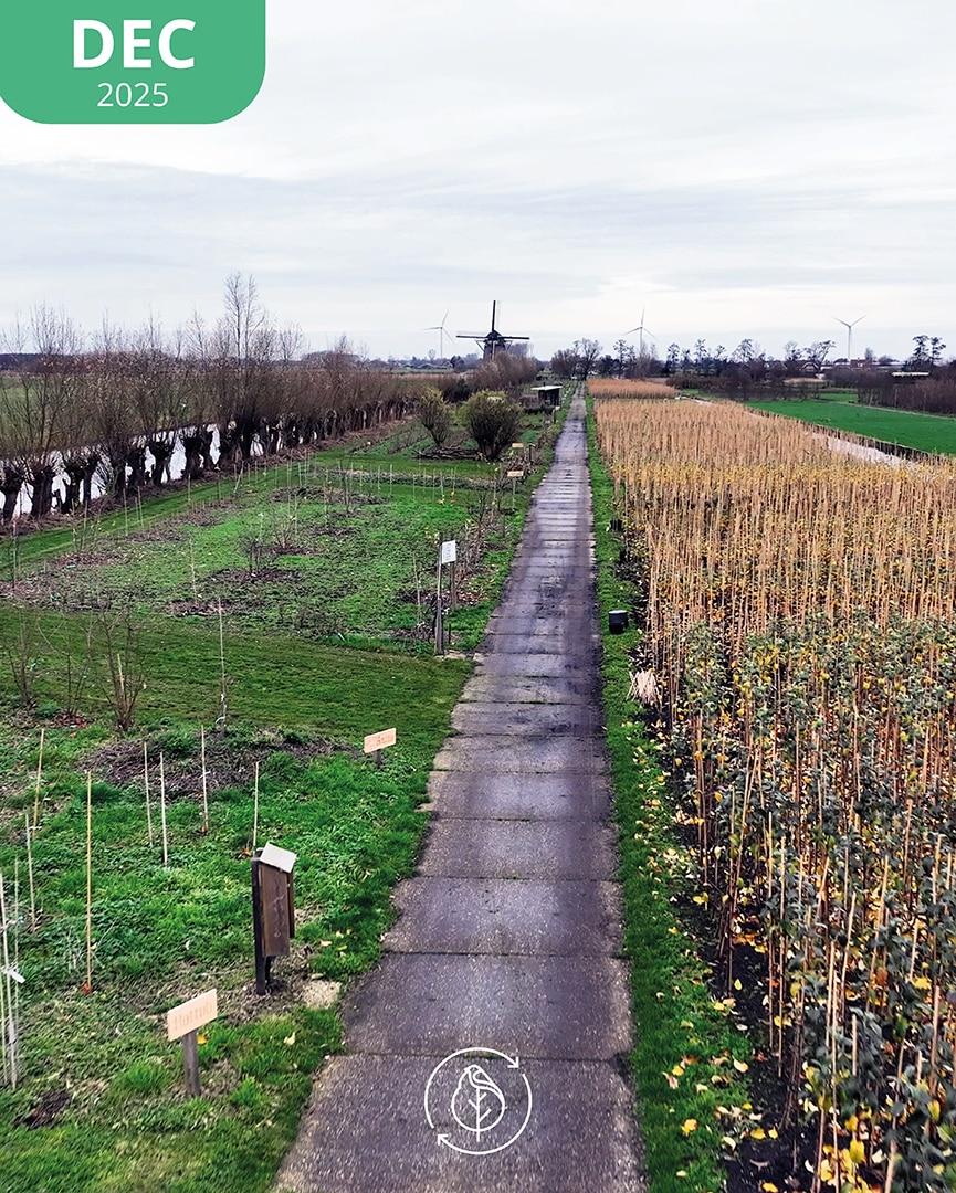 015 Koperwiek Dec 25