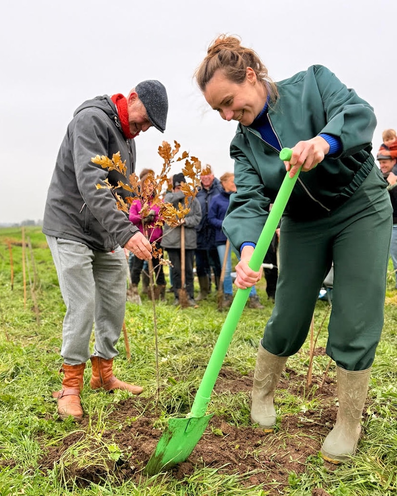 Defroenegriffioen 02