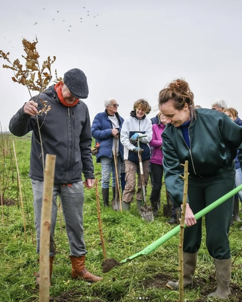 Defroenegriffioen 06