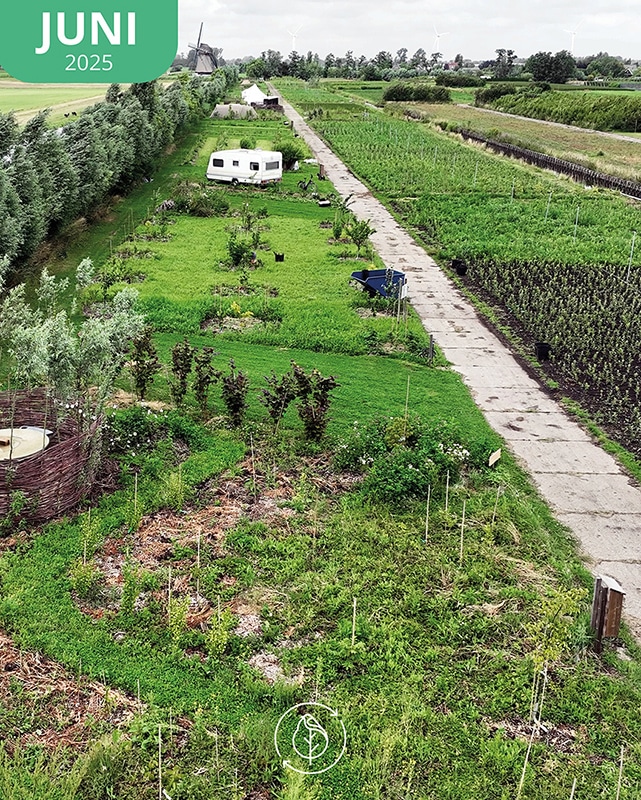 007 Koperwiek Jun 25