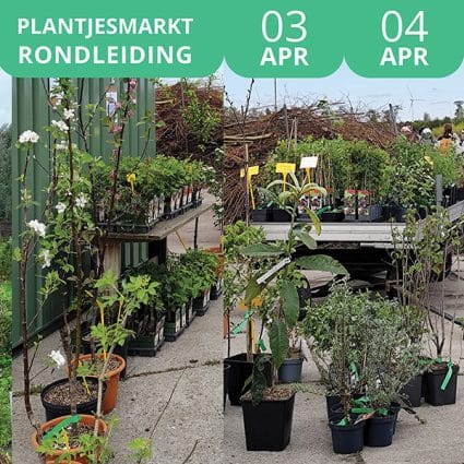 Agenda Plantjesmarkt