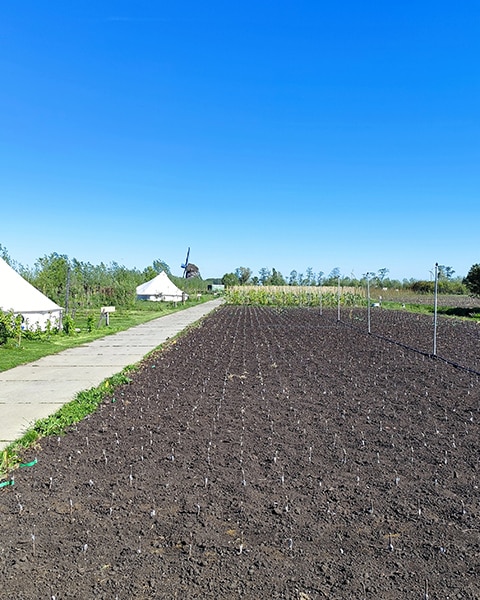 Tuin1 03